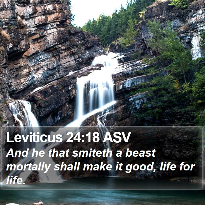 Leviticus 24:18 ASV Bible Study