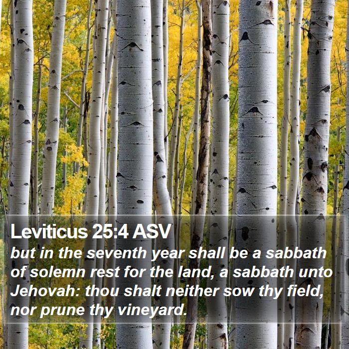 Leviticus 25:4 ASV Bible Study