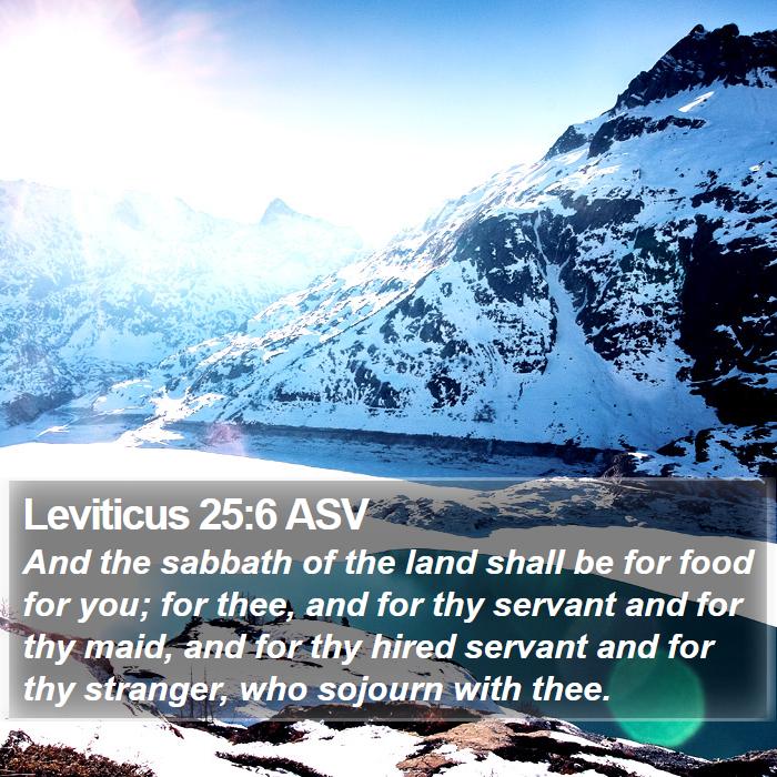 Leviticus 25:6 ASV Bible Study