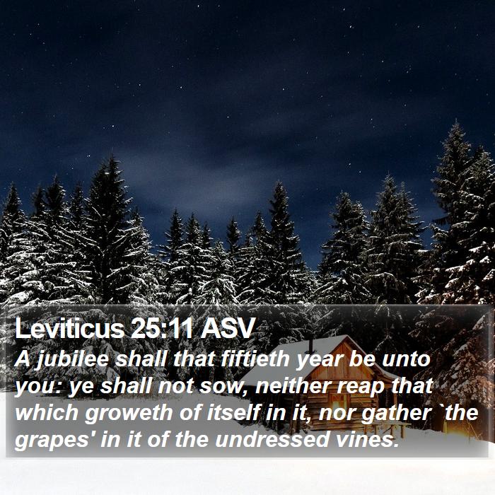 Leviticus 25:11 ASV Bible Study