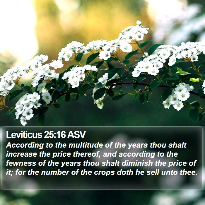 Leviticus 25:16 ASV Bible Study