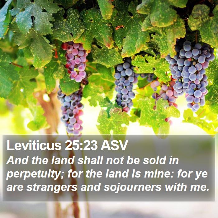 Leviticus 25:23 ASV Bible Study