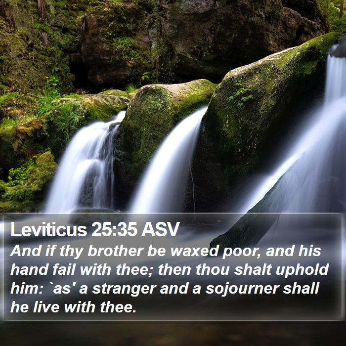 Leviticus 25:35 ASV Bible Study