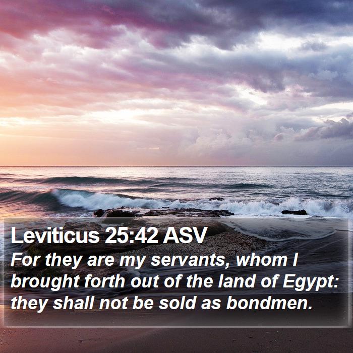 Leviticus 25:42 ASV Bible Study