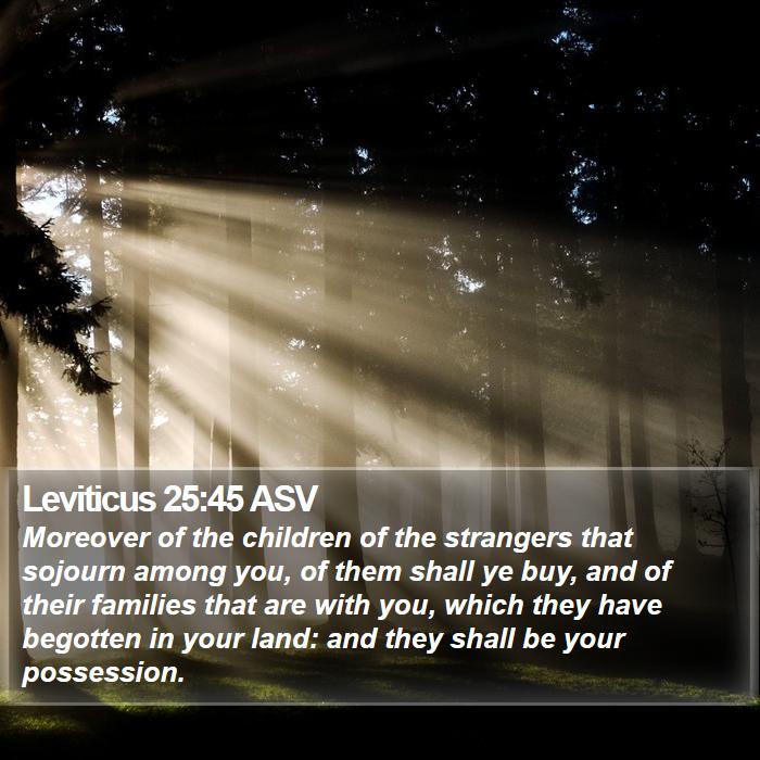 Leviticus 25:45 ASV Bible Study