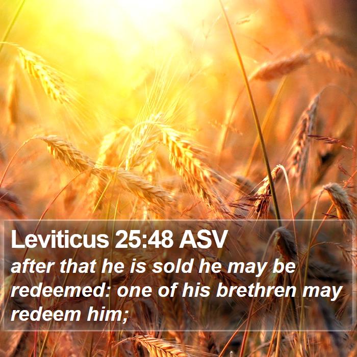 Leviticus 25:48 ASV Bible Study