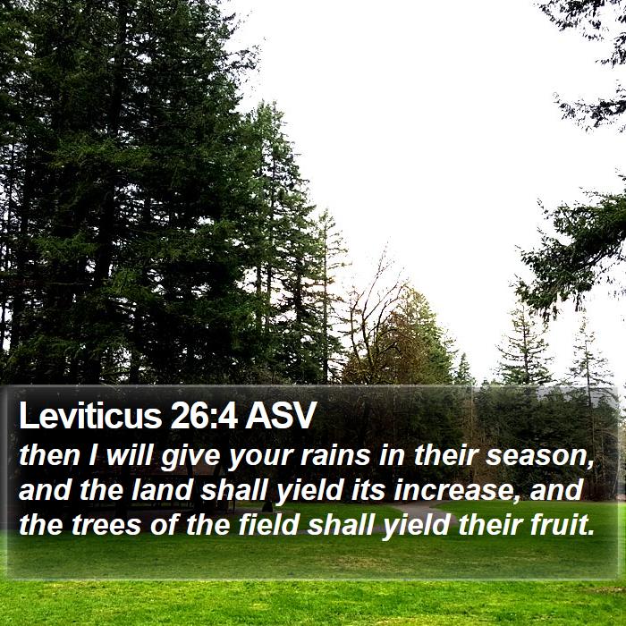 Leviticus 26:4 ASV Bible Study