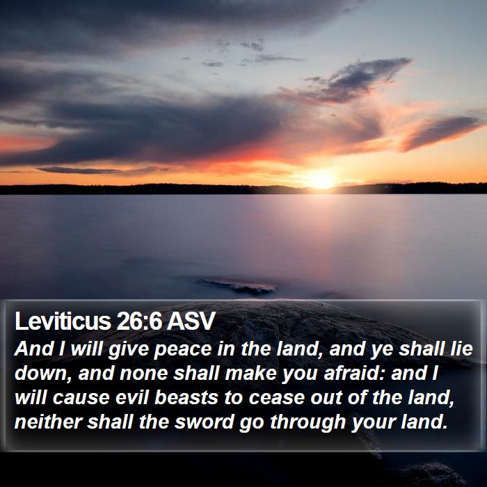 Leviticus 26:6 ASV Bible Study