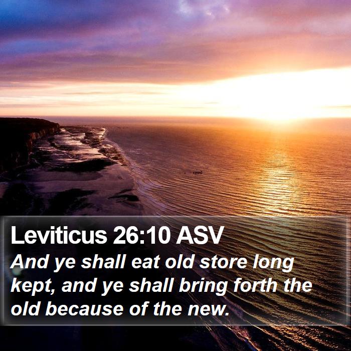 Leviticus 26:10 ASV Bible Study