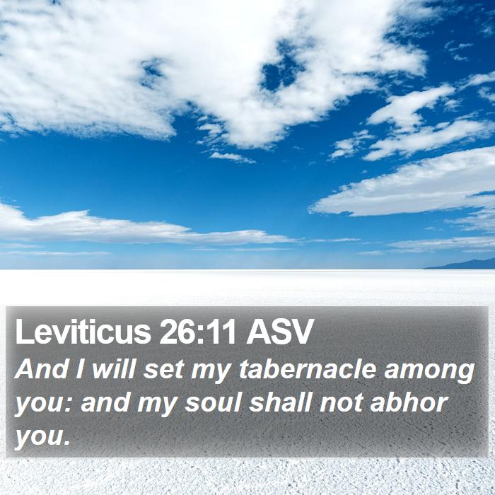 Leviticus 26:11 ASV Bible Study