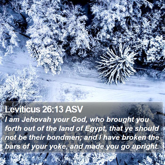 Leviticus 26:13 ASV Bible Study