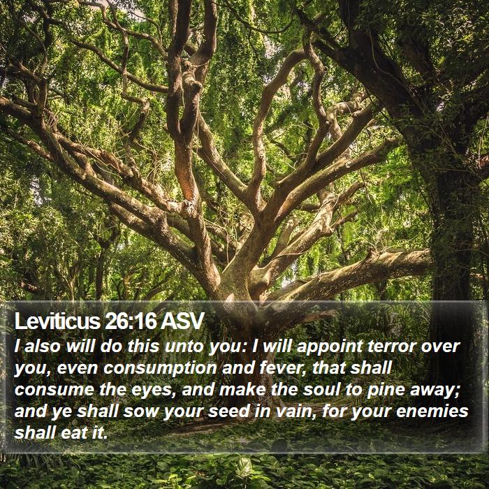 Leviticus 26:16 ASV Bible Study