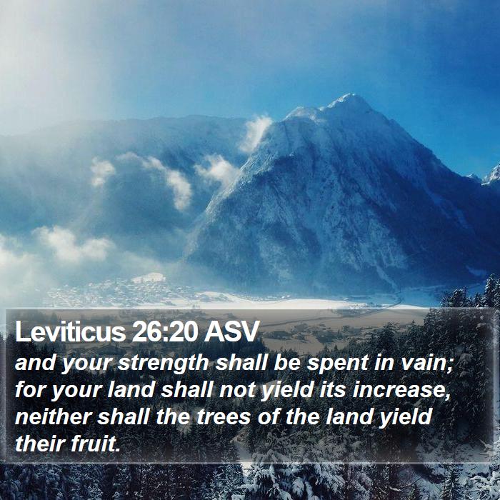 Leviticus 26:20 ASV Bible Study