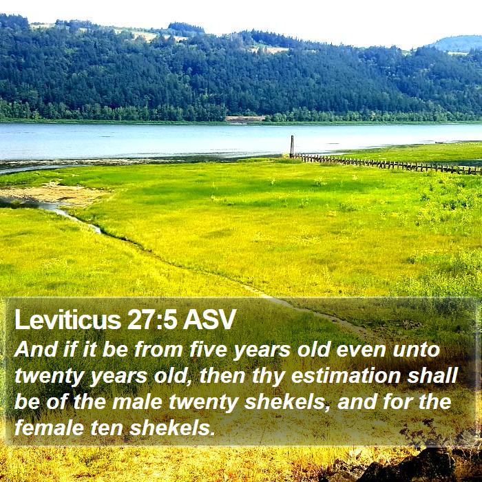 Leviticus 27:5 ASV Bible Study