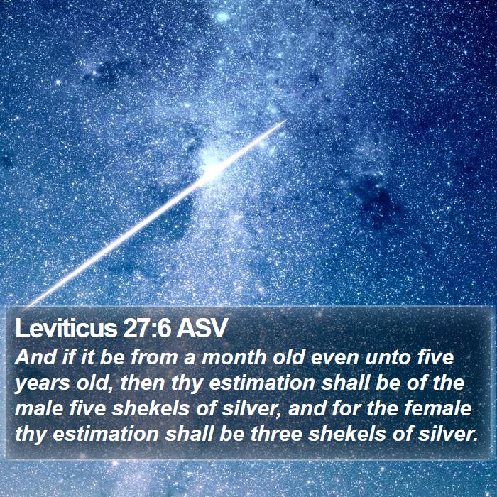 Leviticus 27:6 ASV Bible Study