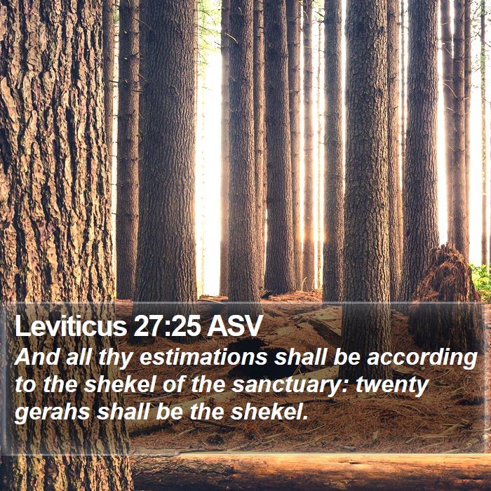 Leviticus 27:25 ASV Bible Study