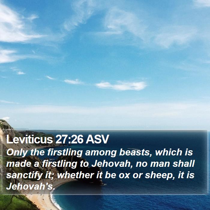 Leviticus 27:26 ASV Bible Study