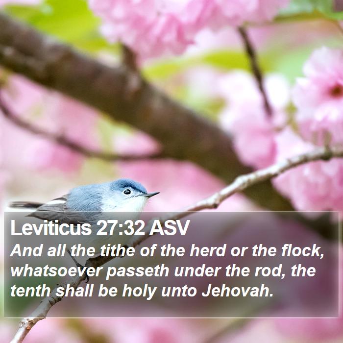 Leviticus 27:32 ASV Bible Study