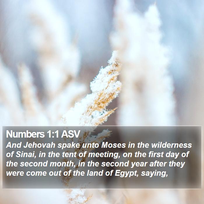 Numbers 1:1 ASV Bible Study