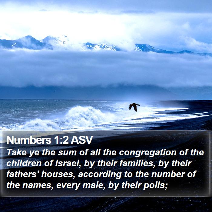 Numbers 1:2 ASV Bible Study