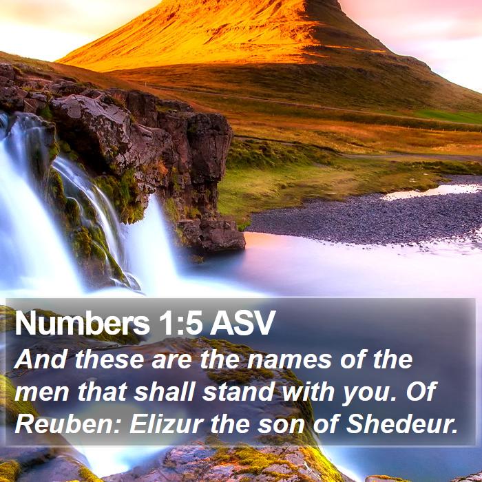 Numbers 1:5 ASV Bible Study