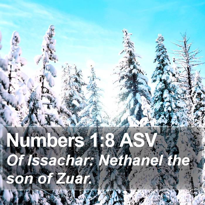 Numbers 1:8 ASV Bible Study