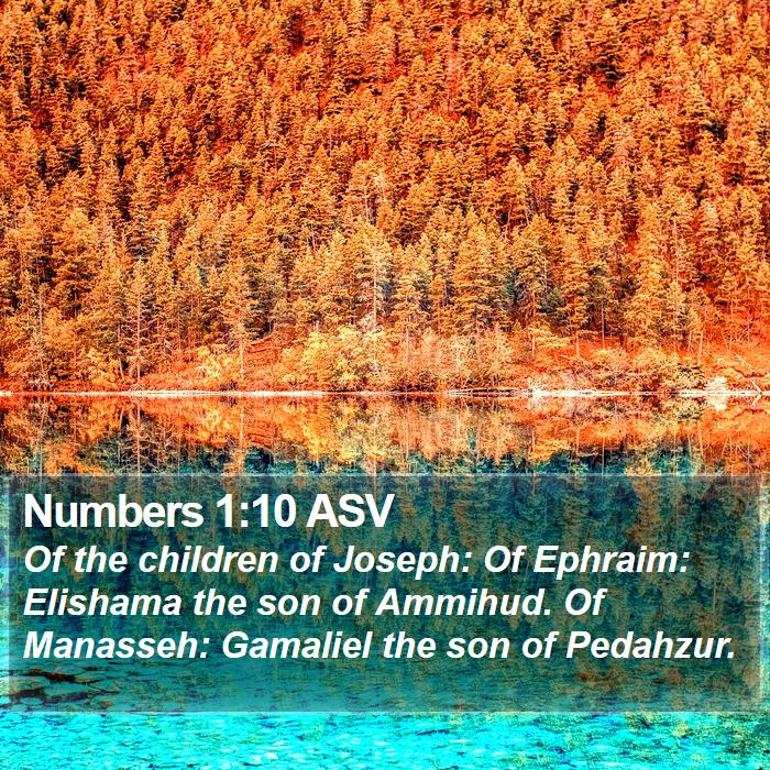 Numbers 1:10 ASV Bible Study