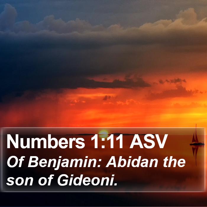 Numbers 1:11 ASV Bible Study