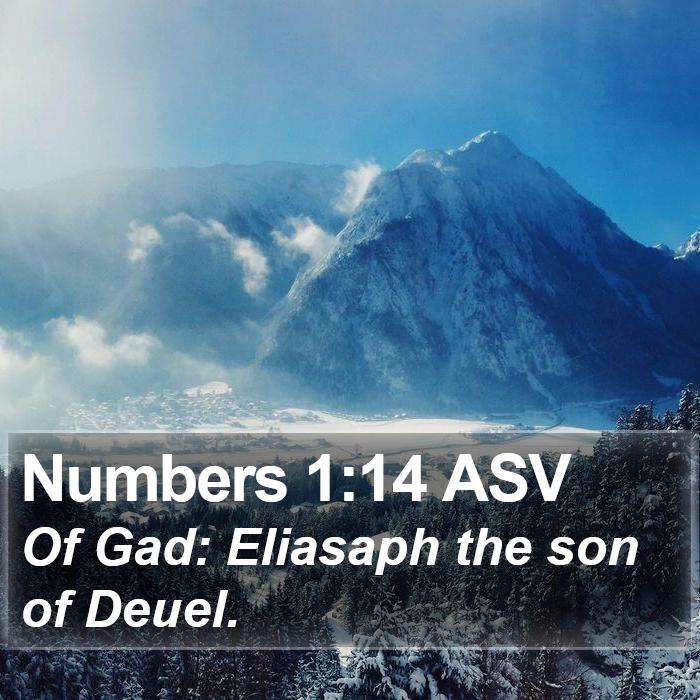 Numbers 1:14 ASV Bible Study