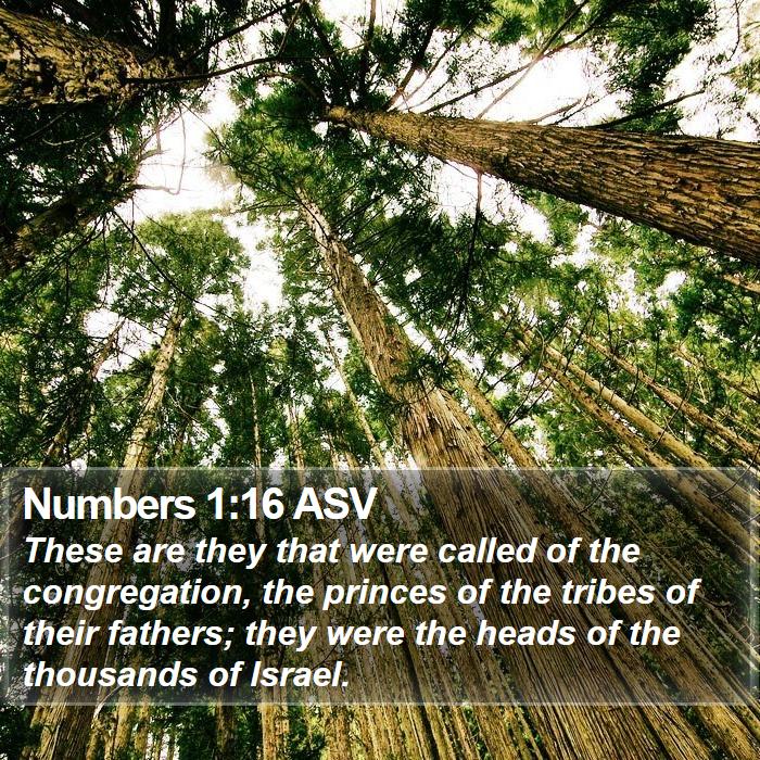 Numbers 1:16 ASV Bible Study