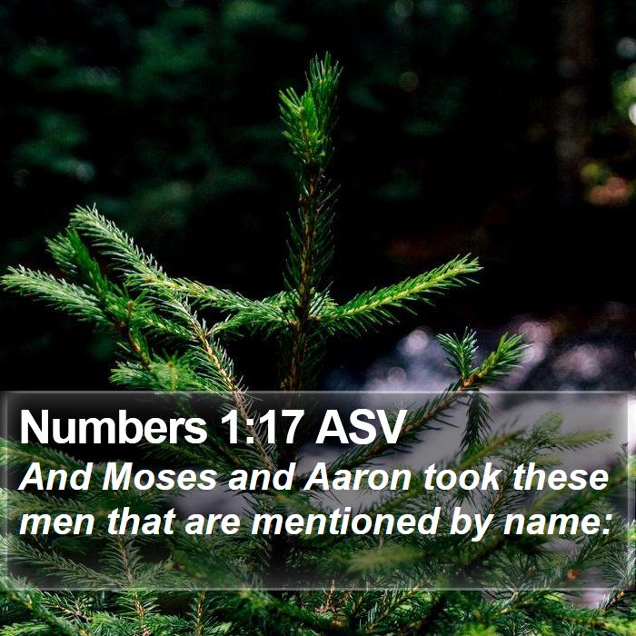 Numbers 1:17 ASV Bible Study