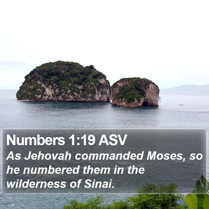 Numbers 1:19 ASV Bible Study