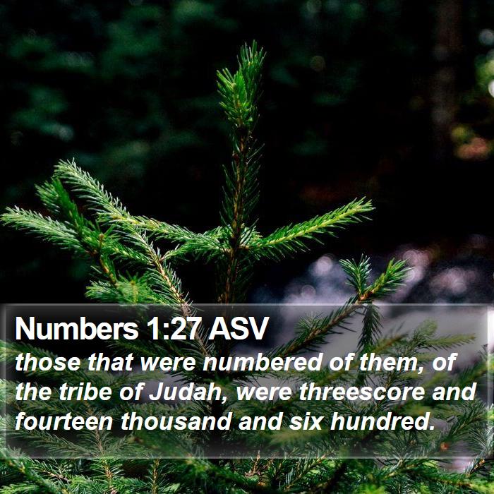 Numbers 1:27 ASV Bible Study