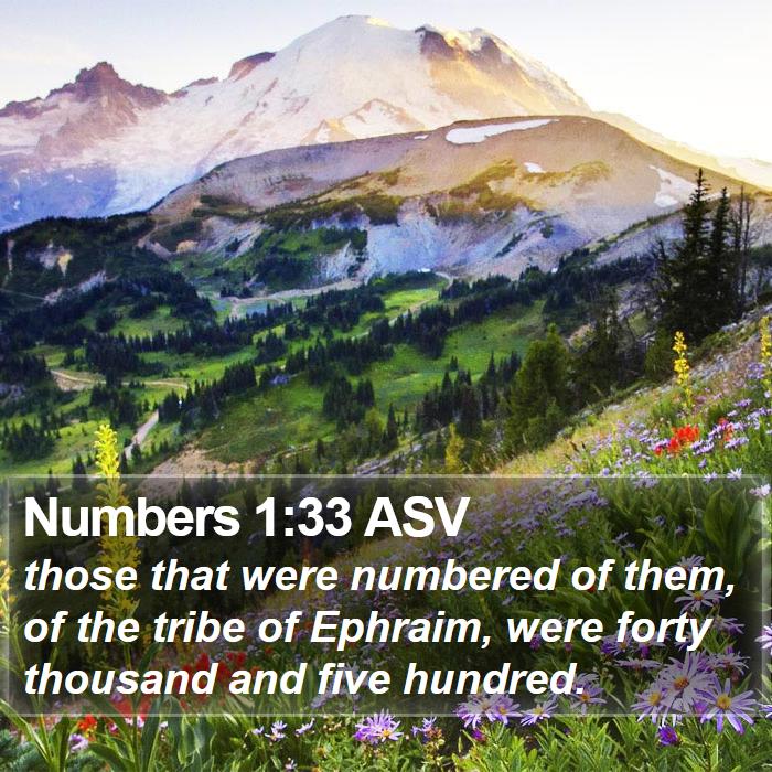 Numbers 1:33 ASV Bible Study