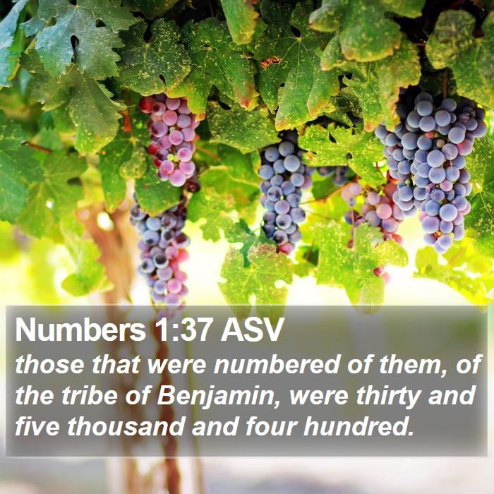 Numbers 1:37 ASV Bible Study