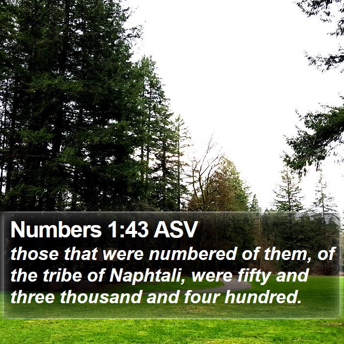 Numbers 1:43 ASV Bible Study