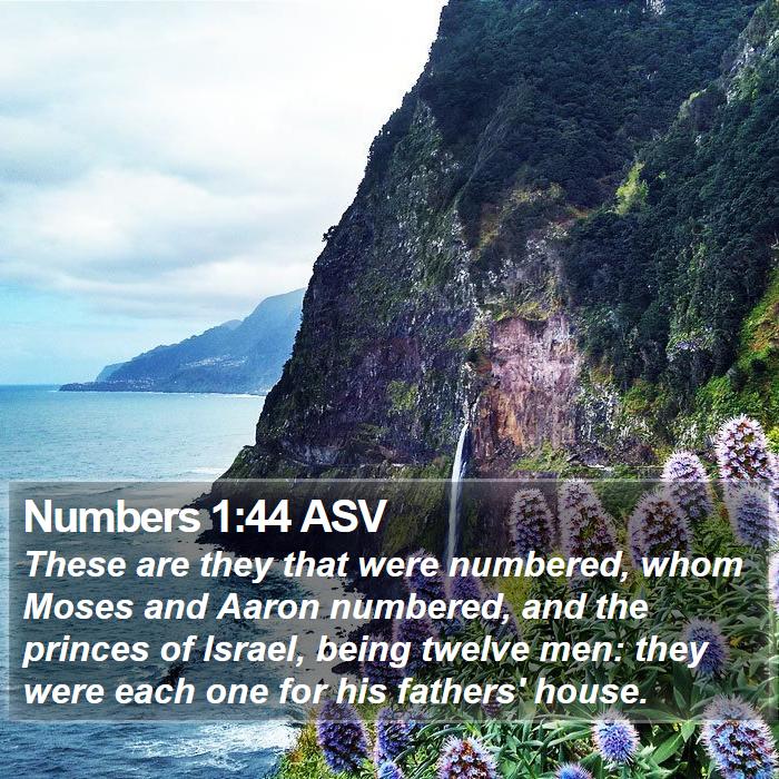 Numbers 1:44 ASV Bible Study