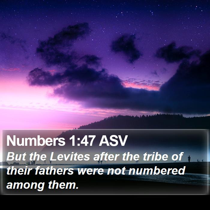 Numbers 1:47 ASV Bible Study