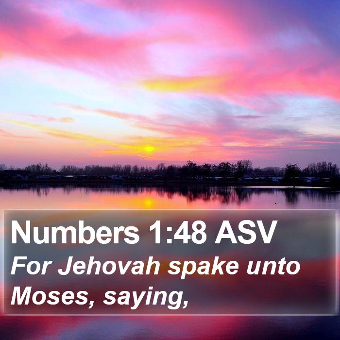 Numbers 1:48 ASV Bible Study