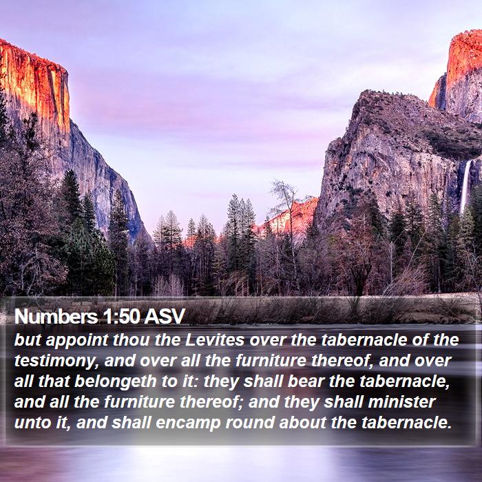 Numbers 1:50 ASV Bible Study