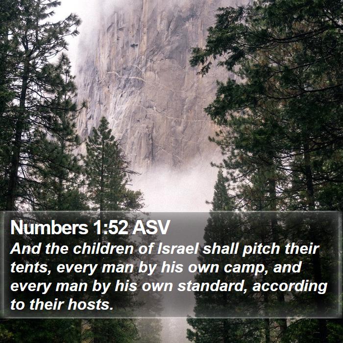 Numbers 1:52 ASV Bible Study