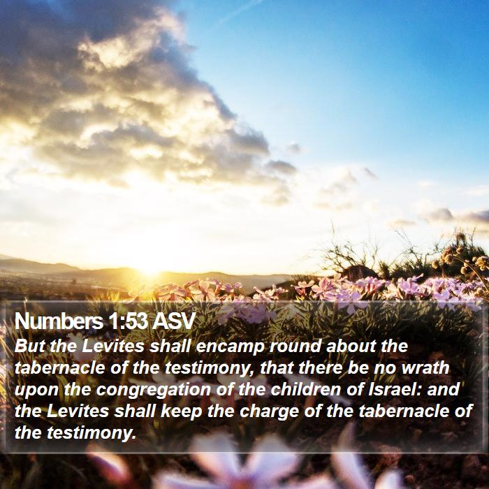 Numbers 1:53 ASV Bible Study