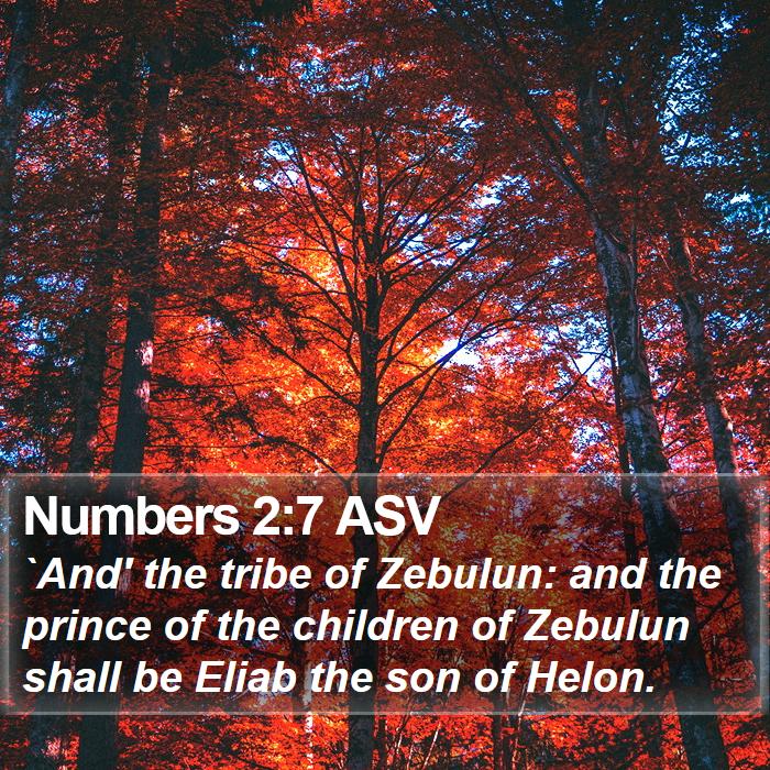 Numbers 2:7 ASV Bible Study