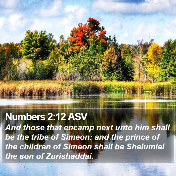 Numbers 2:12 ASV Bible Study