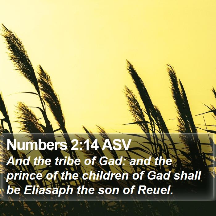 Numbers 2:14 ASV Bible Study