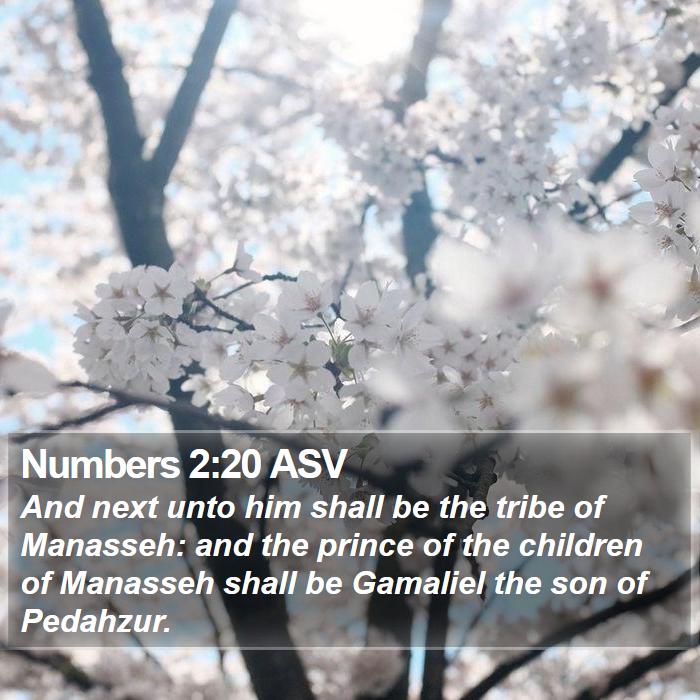 Numbers 2:20 ASV Bible Study