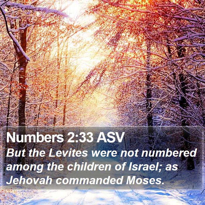 Numbers 2:33 ASV Bible Study