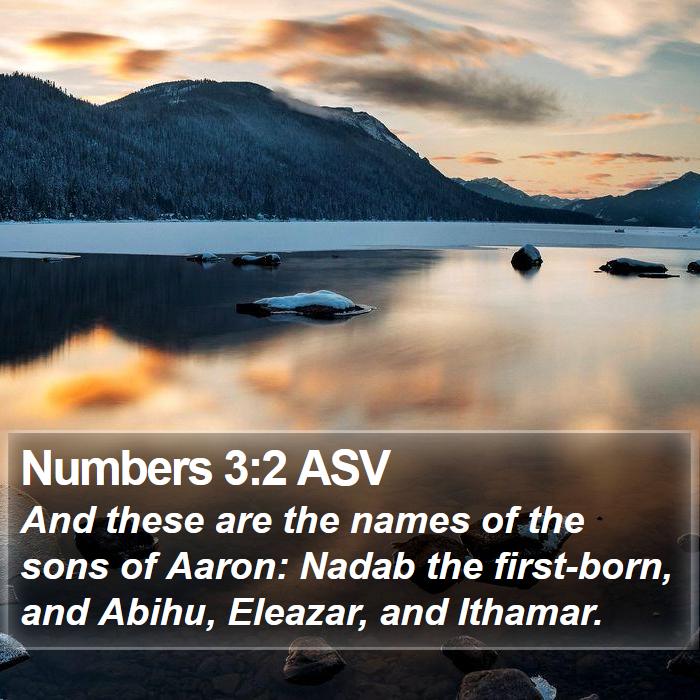 Numbers 3:2 ASV Bible Study