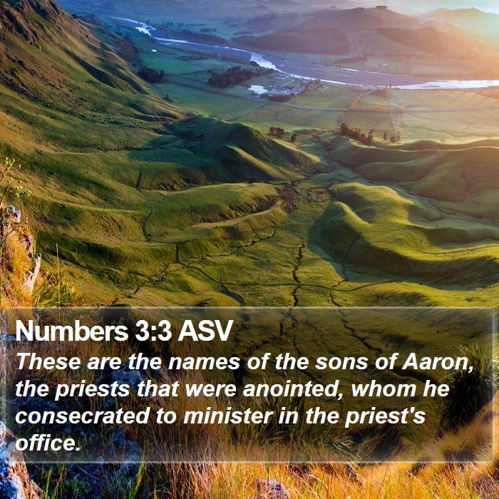 Numbers 3:3 ASV Bible Study