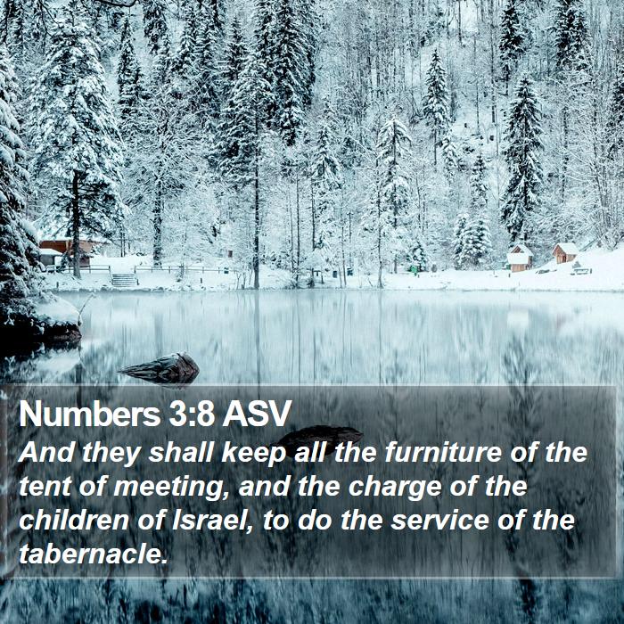 Numbers 3:8 ASV Bible Study